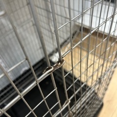 美品 イージーホーム80 ハイ ケージ 本体 小動物 小屋 飼育 ペット 用品 ブラック 黒 フクロモモンガ 鳥 イージーホーム メッシュ の画像