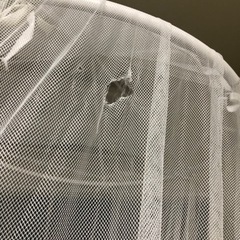 中古　IKEA ブリーネ　天蓋の画像