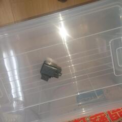 v100 セルリレーの画像