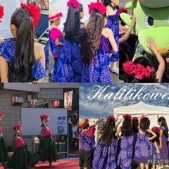 龍ヶ崎　子供のフラダンス教室　新規生徒さん大募集！の画像