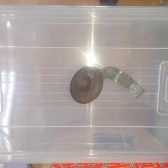 v100 純正ホーンの画像