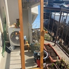 鏡　あげます‼️