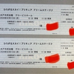 ひろがるスカイ！プリキュア　ドリームステージ