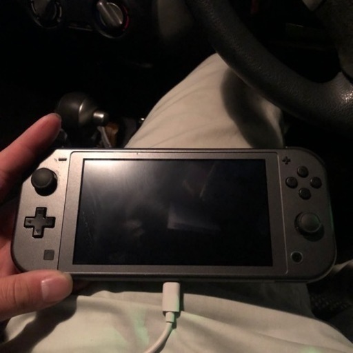 Switch light 本体　ディアルガ、パルキアver