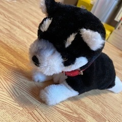 音声認識　ぬいぐるみ　犬の画像