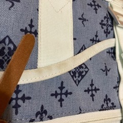 DailyrussetとColumbiaのコラボトートバッグ  の画像