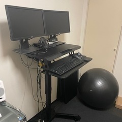 バランスボール2個の画像