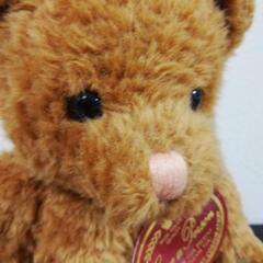 高さ28cm【未使用】テディベア ぬいぐるみ ファースト タグ付き くまの画像