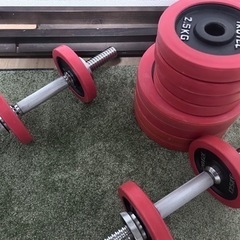アイロテックダンベル20kg×２個+アルインコダンベル10kg1個