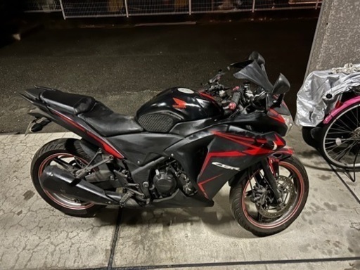 元気に動きます