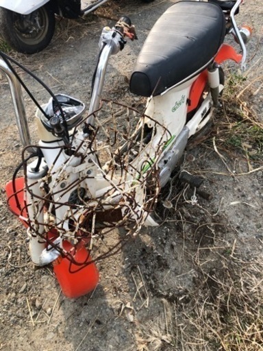 ホンダ シャリー 50 書類付部品取り、レストアベース車 【公式通販】