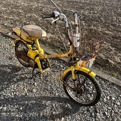 ロードパル　ロードパルS ROADPAL S 不動の画像