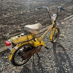 ロードパル　ロードパルS ROADPAL S 不動の画像