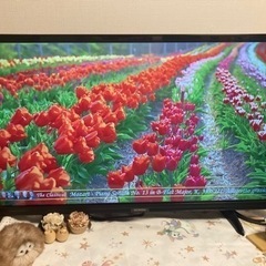 【アイリスオーヤマ/液晶テレビ】３２型