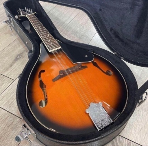 フラットマンドリン ARIA AM-20 弦、カバーDVDつき