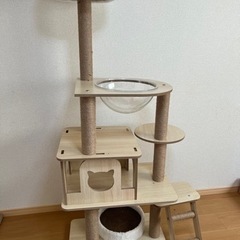 キャットタワー美品きまってます
