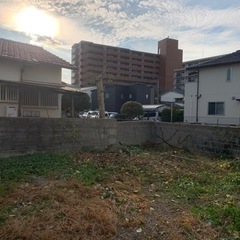 家周りなどの草刈り・伐採作業承ります🌲　 作業、片付け、処分まで何でもご相談下さい☺️  現地お見積り無料‼︎  福岡市内、近郊 − 福岡県