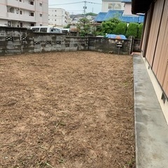 家周りなどの草刈り・伐採作業承ります🌲　 作業、片付け、処分まで何でもご相談下さい☺️  現地お見積り無料‼︎  福岡市内、近郊 - 福岡市