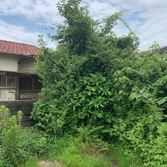 家周りなどの草刈り・伐採作業承ります🌲　 作業、片付け、処分まで何でもご相談下さい☺️  現地お見積り無料‼︎  福岡市内、近郊 - 剪定/造園