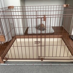 小型犬ゲージ