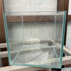 【取引中】水槽 20㌢キューブ✖️2