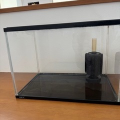 Lサイズの水槽とエアーポンプとスポンジフィルター_____20240212の画像