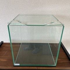 GEX　aquarista オールガラス　30cmキューブ水槽