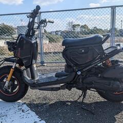 ズーマーAF58キャブ車