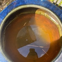 火鉢　大型　水鉢　青　八角型　陶磁器　陶器　睡蓮鉢の画像