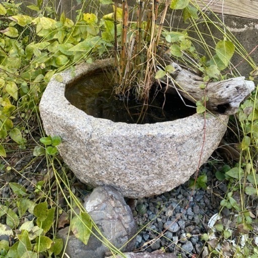 石鉢　庭石　睡蓮鉢