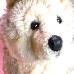 英国製（英国S.R.L社　MODEL NEWJOCK LINE）シベリアンハスキー犬のぬいぐるみ（中古品）の画像