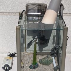 【値下げ！中古】GEX 30cm キューブ水槽セット/即飼育可の画像