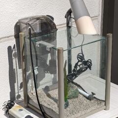 【値下げ！中古】GEX 30cm キューブ水槽セット/即飼育可の画像