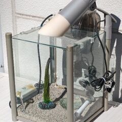 【値下げ！中古】GEX 30cm キューブ水槽セット/即飼育可の画像