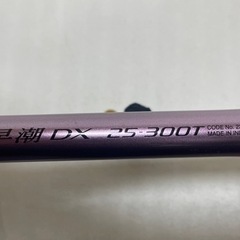 シマノ　早潮　25-300Tの画像