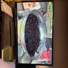 テレビ