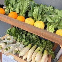 野菜1つ0円で販売します！