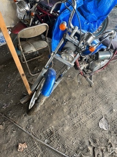 HONDA ジャズ50