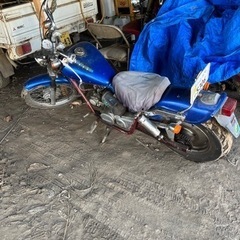 HONDA ジャズ50