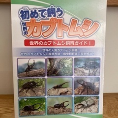 初めて飼う世界のカブトムシ　新品