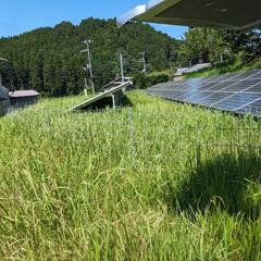 定期的に草刈り業務をしていただける方を募集しています