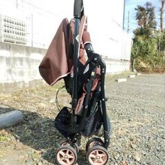 Infantasy TDSP デビューライトSP　中古の画像