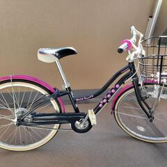女の子用 子供自転車 22インチ
ブリヂストン ワイルドベリー 
