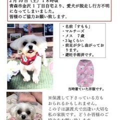 可愛い我が子を見つけて下さい‼️m(_ _)m
