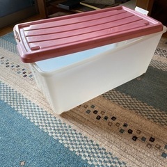 収納ケース大2個の画像