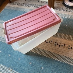 収納ケース大2個の画像
