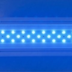 (水作)LED ライトアップ 300 ホワイトの画像