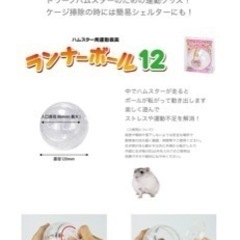ランナーボウル12