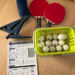 『決まりました！超美品』卓球台家庭用サイズセパレート式移動キャスター付TR2PG3049ＴＴの画像