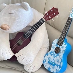 24年3月10日　ウクレレ個人レッスン2.500円　弾き語り、ソ...